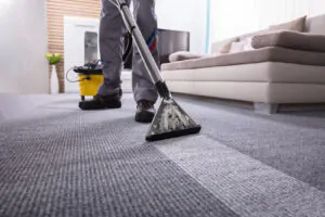 Will Professional Carpet Cleaning Remove Pet Stains and Urine Smell Tesuque NM Carpet Cleaning Service