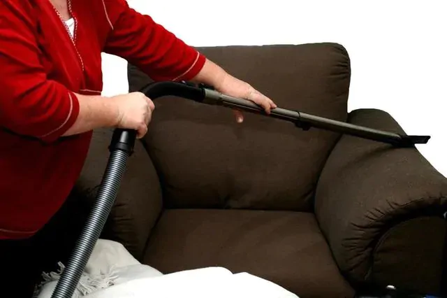 Upholstery and Furniture Cleaning Service