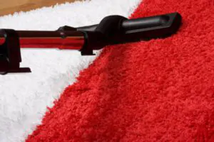 Type of Carpet to Clean - Santa Fe Carpet Cleaners, NM