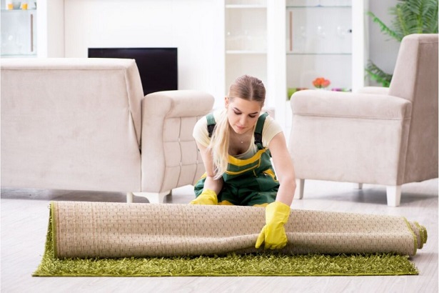 Pet Stain Odor Removal Santa Fe Carpet Cleaners