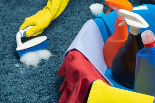 Best Carpet Cleaning Products You Need to Try - Santa Fe Carpet Cleaners