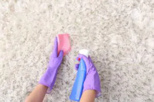 Bottomline - Santa Fe Carpet Cleaners