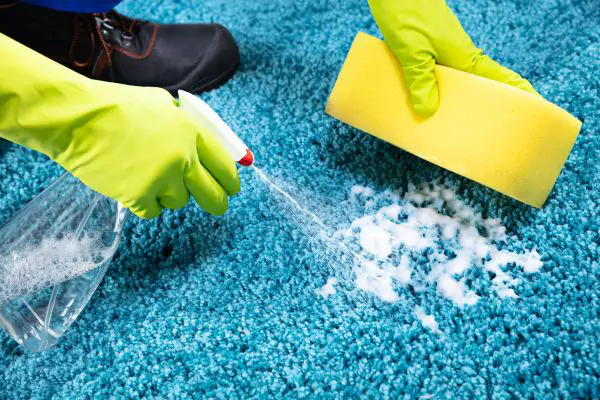 Santa Fe Carpet Cleaners - Best Carpet Cleaning Products You Need to Try